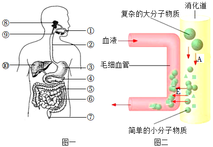 菁優(yōu)網(wǎng)