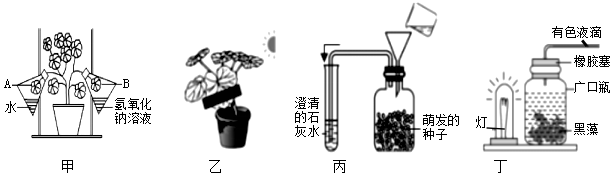 菁優(yōu)網(wǎng)