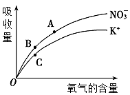 菁優(yōu)網