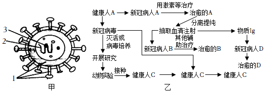 菁優(yōu)網(wǎng)