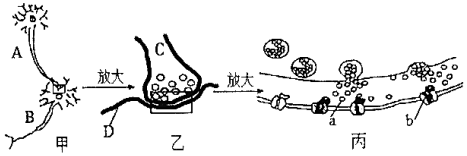 菁優(yōu)網