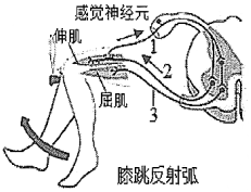 菁優(yōu)網