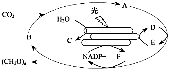 菁優(yōu)網(wǎng)