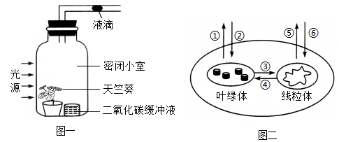 菁優(yōu)網(wǎng)