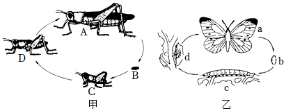 菁優(yōu)網(wǎng)