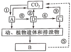 菁優(yōu)網(wǎng)