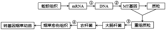 菁優(yōu)網