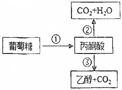 菁優(yōu)網(wǎng)