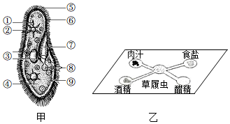 菁優(yōu)網(wǎng)