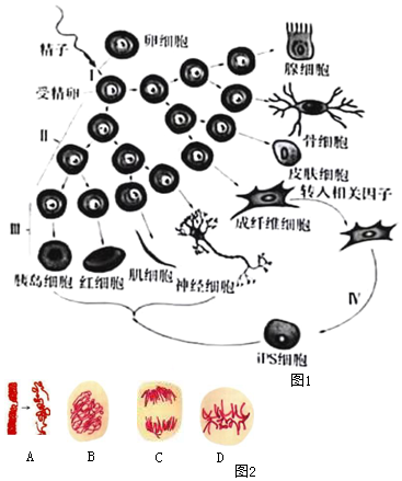 菁優(yōu)網