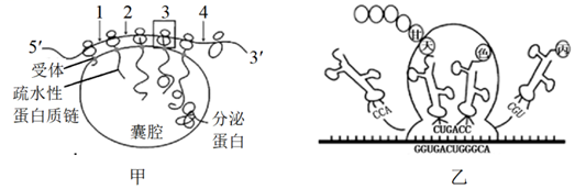 菁優(yōu)網