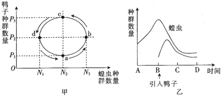 菁優(yōu)網(wǎng)