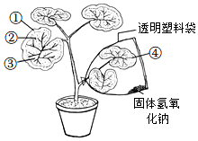 菁優(yōu)網(wǎng)