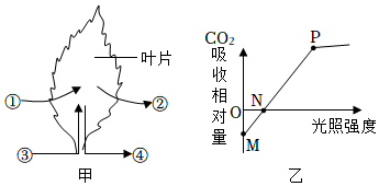 菁優(yōu)網(wǎng)