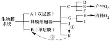 菁優(yōu)網(wǎng)