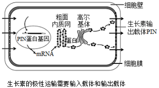 菁優(yōu)網