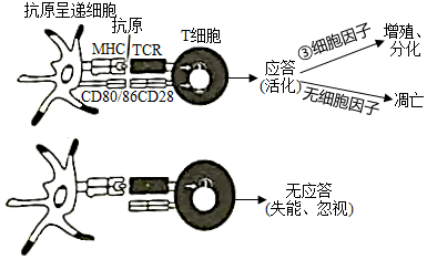 菁優(yōu)網