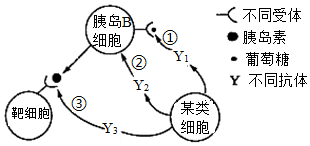 菁優(yōu)網