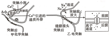 菁優(yōu)網(wǎng)