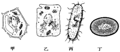 菁優(yōu)網