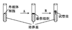 菁優(yōu)網