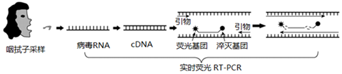 菁優(yōu)網