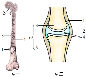 菁優(yōu)網