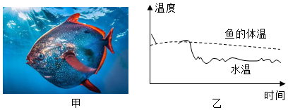 菁優(yōu)網