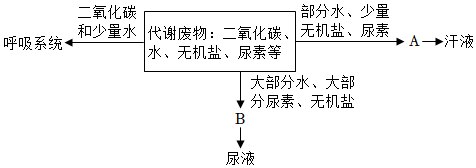 菁優(yōu)網(wǎng)