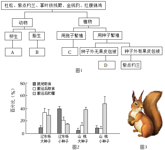 菁優(yōu)網