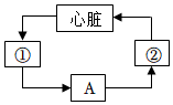 菁優(yōu)網(wǎng)