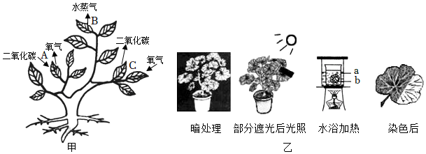 菁優(yōu)網(wǎng)