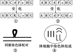 菁優(yōu)網