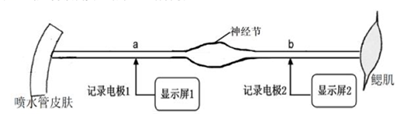 菁優(yōu)網(wǎng)