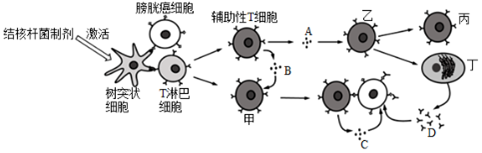 菁優(yōu)網