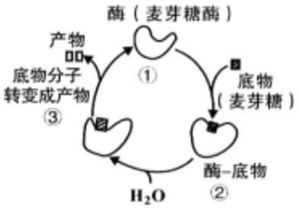 菁優(yōu)網