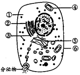 菁優(yōu)網(wǎng)