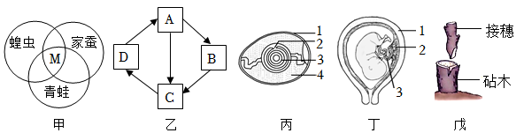 菁優(yōu)網(wǎng)