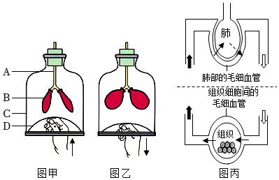 菁優(yōu)網(wǎng)