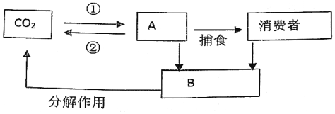 菁優(yōu)網(wǎng)