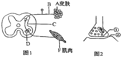 菁優(yōu)網(wǎng)