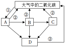 菁優(yōu)網(wǎng)