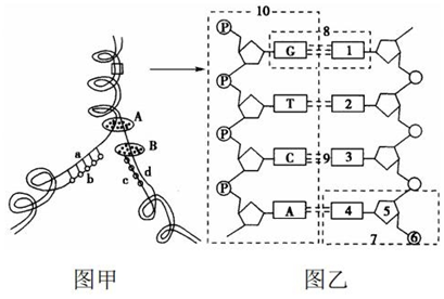 菁優(yōu)網(wǎng)