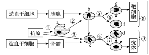 菁優(yōu)網