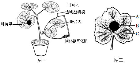 菁優(yōu)網(wǎng)