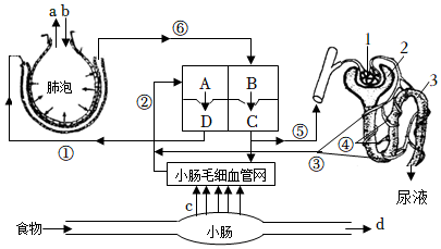 菁優(yōu)網(wǎng)