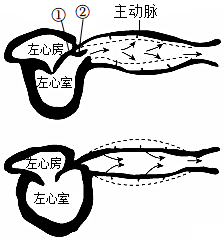 菁優(yōu)網(wǎng)