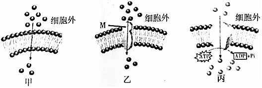 菁優(yōu)網(wǎng)