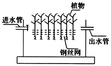 菁優(yōu)網(wǎng)