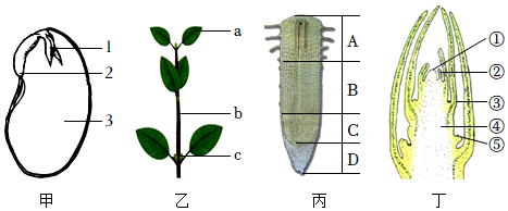 菁優(yōu)網